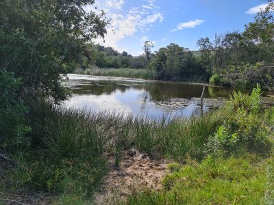 Simbonga Game Farm and Sanctuary