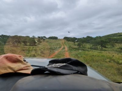 Simbonga Game Farm and Sanctuary