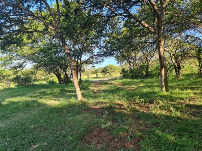 Simbonga Game Farm and Sanctuary