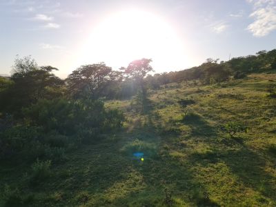 Simbonga Game Farm and Sanctuary