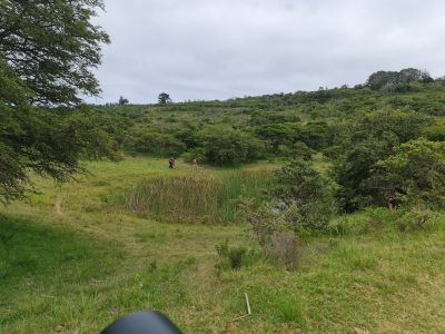 Simbonga Game Farm and Sanctuary