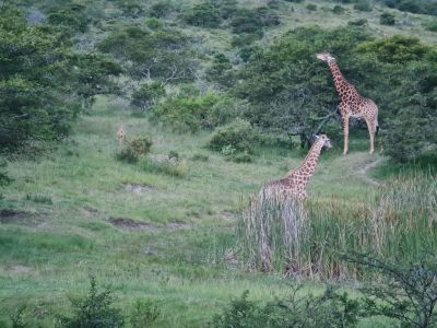 Simbonga Game Farm and Sanctuary