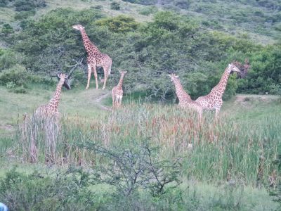 Simbonga Game Farm and Sanctuary
