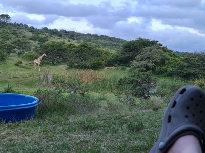 Simbonga Game Farm and Sanctuary
