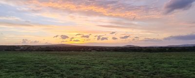 Addo Day 3