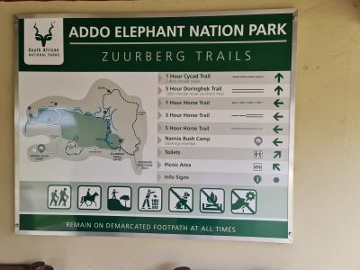 Addo Day 4