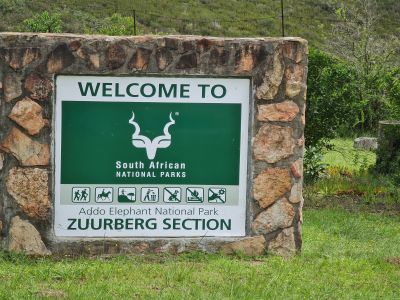 Addo Day 4