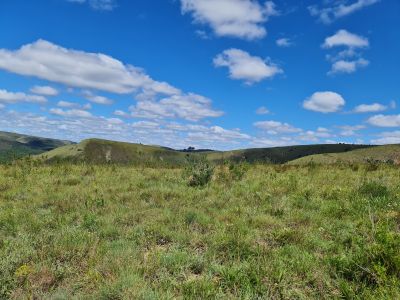 Addo Day 4