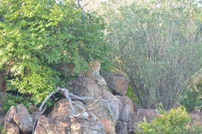 Leokwe Camp