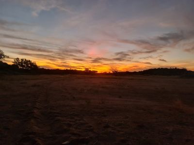 The Bush Braai – 50th Birthday Celebration
