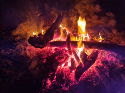 The Bush Braai – 50th Birthday Celebration