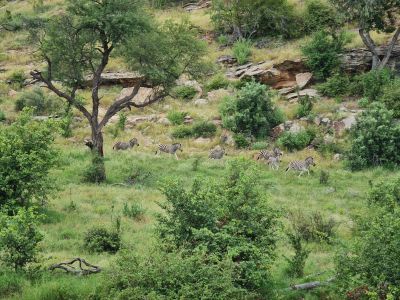 Vhembe Bush Camp