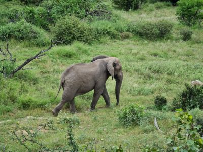Vhembe Bush Camp