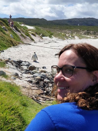 King Penguin